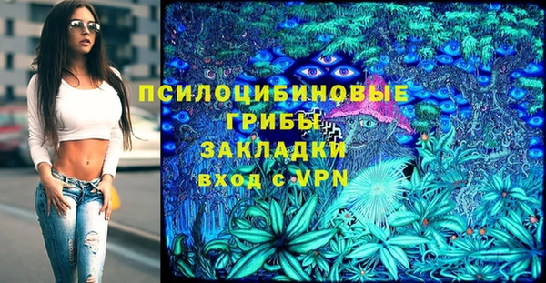 дурь Алзамай